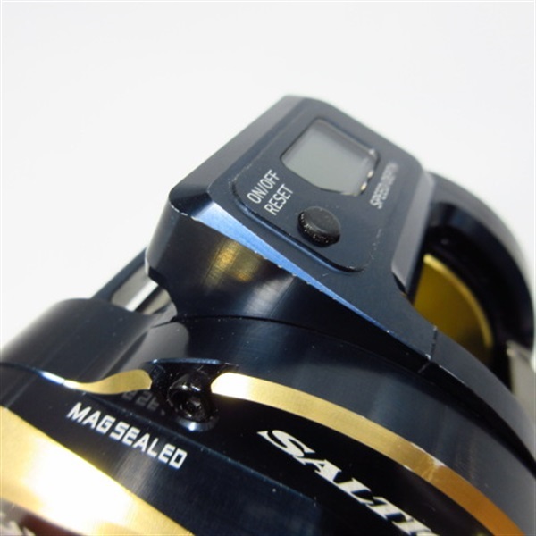 ２１ソルティガＩＣ３００ ６．３ 左